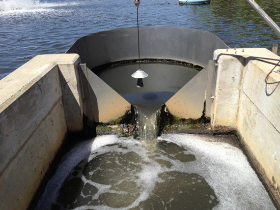 underflow baffle on lake eliminating surface turbulence prior to a weir