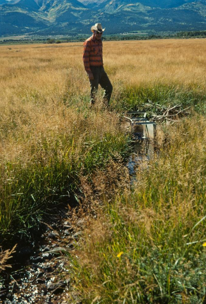 galvanized steel Parshall flume measuring irrigation flows in a small Colorado creek