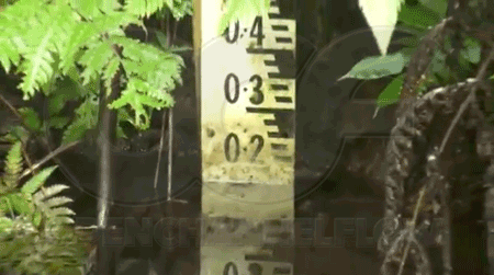 scum on a staff gauge making level measurement difficult