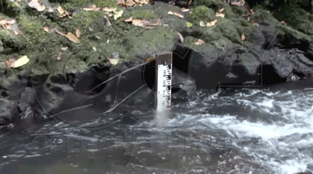 turbulence due to rapids making the reading of a staff gauge difficult