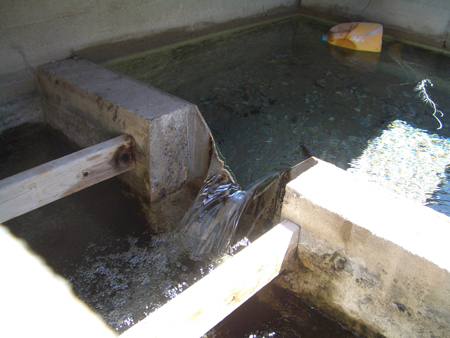 ortho view of nappe flow over a v-notch weir