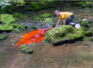 water tracing dilution with Chromatech fluorescent dye