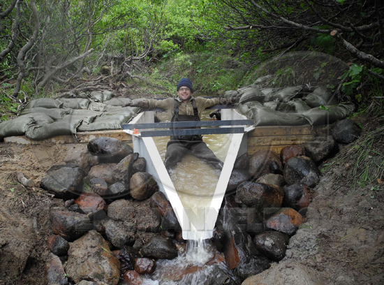 2-foot watershed monitoring h flume with one relaxing Canadian lodged inside