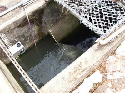 ultrasonic meter reading weir head level upstream of weir crest